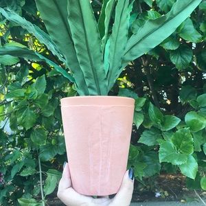 Hearth & Hand Faux Plant